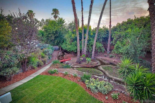 view of yard at dusk