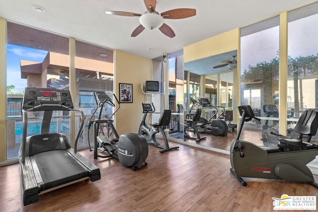 gym with ceiling fan, expansive windows, a wealth of natural light, and hardwood / wood-style floors