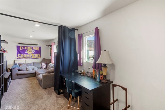 view of carpeted living room