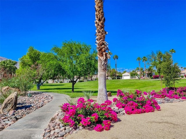 view of community featuring a lawn