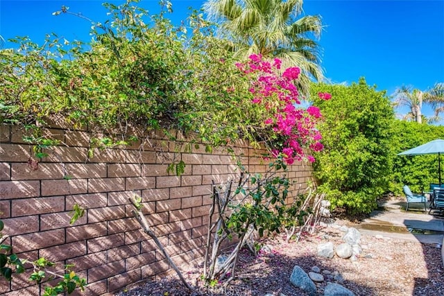 view of yard featuring a patio area