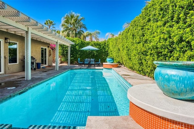 view of pool featuring a pergola, a patio area, and area for grilling