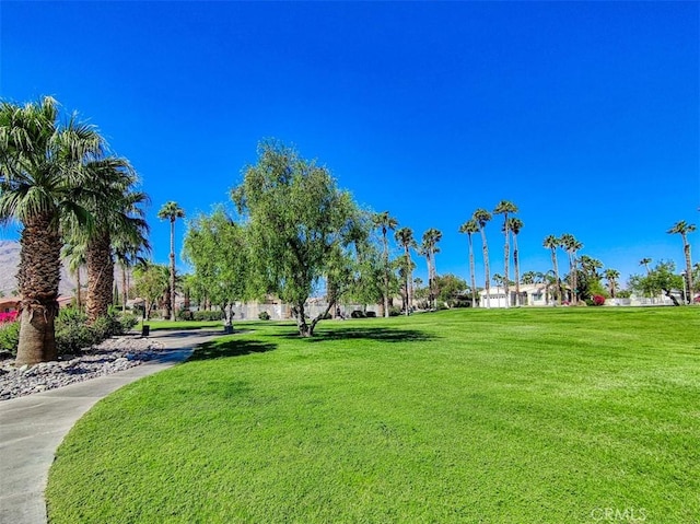 view of property's community featuring a lawn