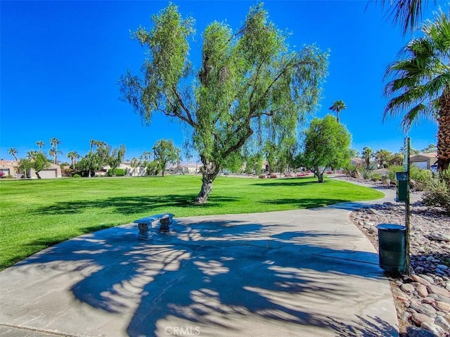 view of community with a lawn