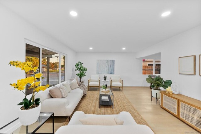 living room featuring light hardwood / wood-style floors