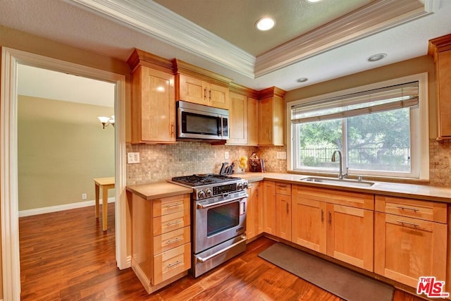 kitchen with dark hardwood / wood-style floors, a raised ceiling, sink, stainless steel appliances, and ornamental molding