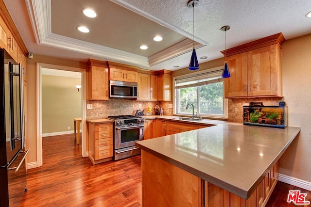 kitchen with decorative light fixtures, high quality appliances, a tray ceiling, and sink