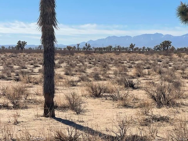 0 Vinton Rd, Adelanto, CA 92301 - photo 28