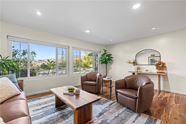 living room with dark wood-type flooring