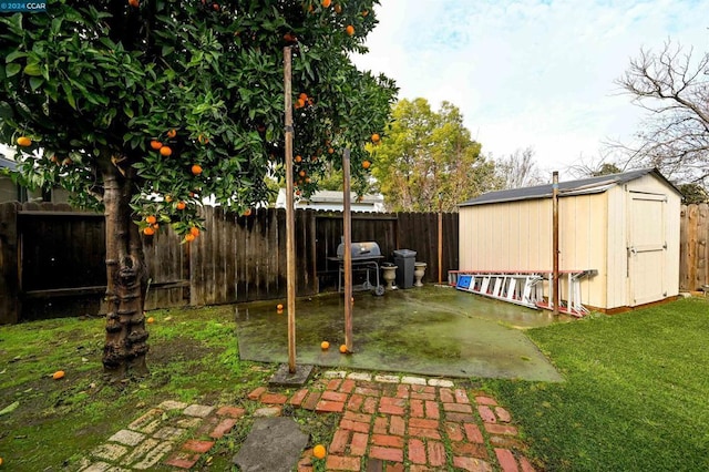 view of yard with a storage shed