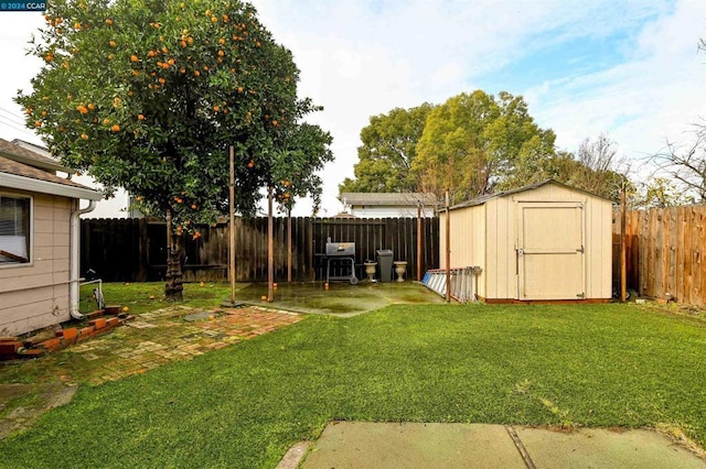 view of yard with a shed