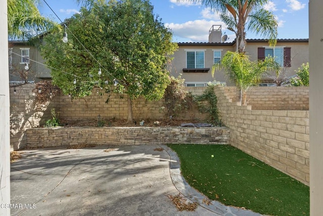 view of yard featuring a patio