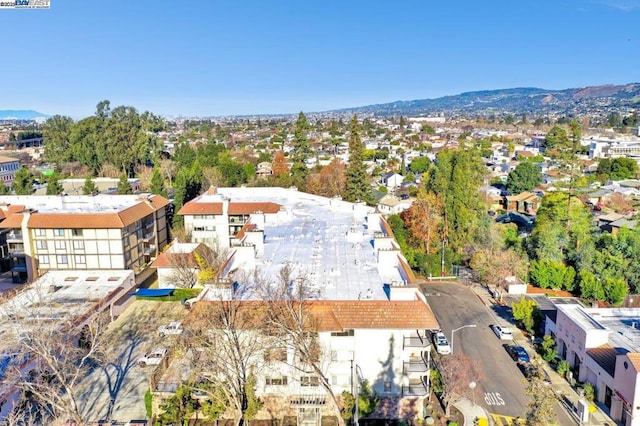 birds eye view of property featuring a mountain view