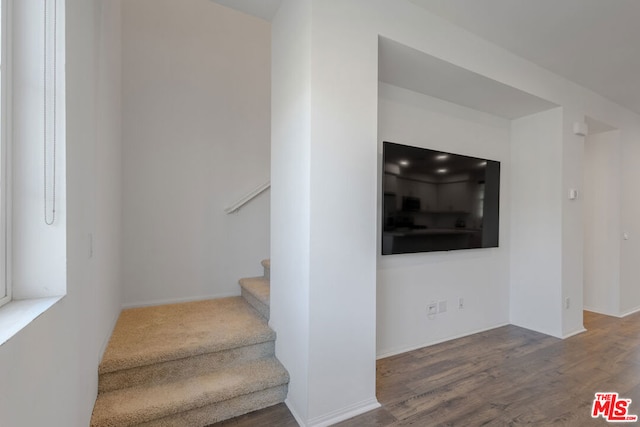 staircase with hardwood / wood-style floors