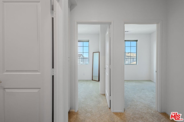 corridor with light carpet