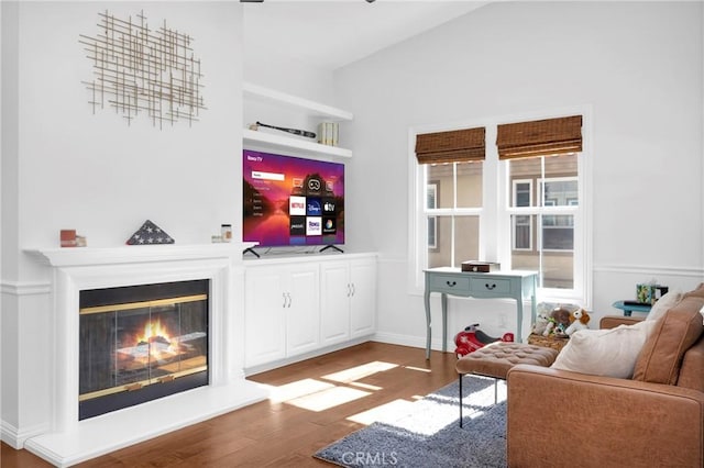 living room featuring a glass covered fireplace and wood finished floors