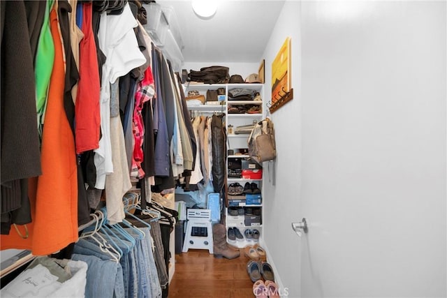 walk in closet featuring wood-type flooring