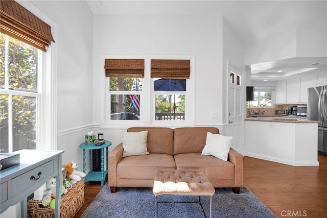 living room with dark hardwood / wood-style floors