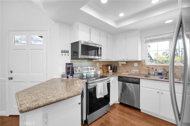 kitchen with a sink, backsplash, wood finished floors, stainless steel appliances, and a raised ceiling