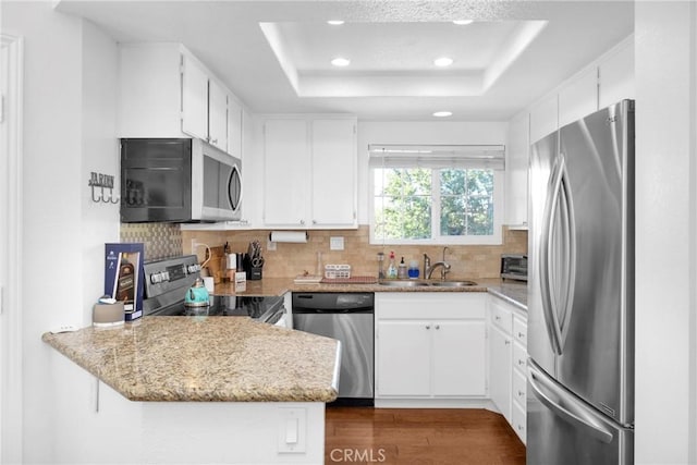 kitchen featuring tasteful backsplash, a tray ceiling, appliances with stainless steel finishes, a peninsula, and a sink