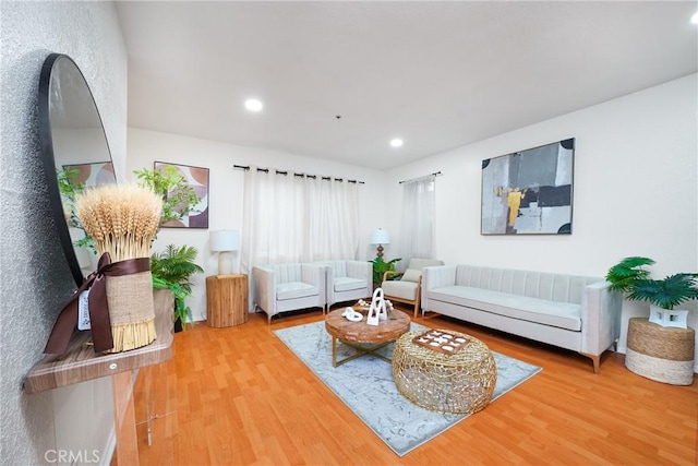 living room with hardwood / wood-style flooring