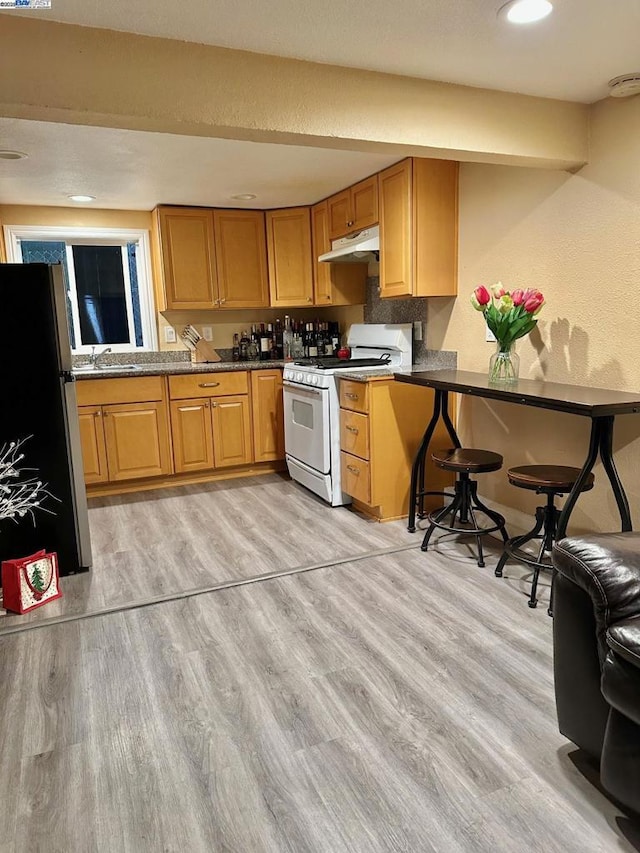 kitchen featuring sink, refrigerator, light hardwood / wood-style floors, and gas range gas stove