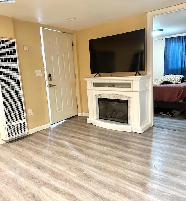 living room with a premium fireplace and light hardwood / wood-style flooring