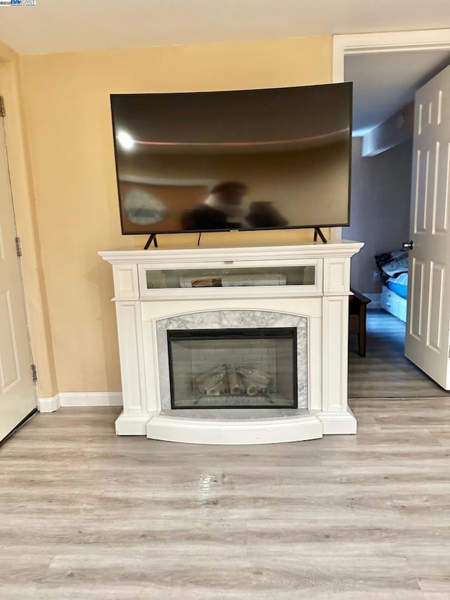 room details featuring wood-type flooring and a fireplace