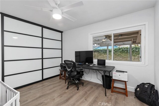 home office with ceiling fan and light hardwood / wood-style flooring