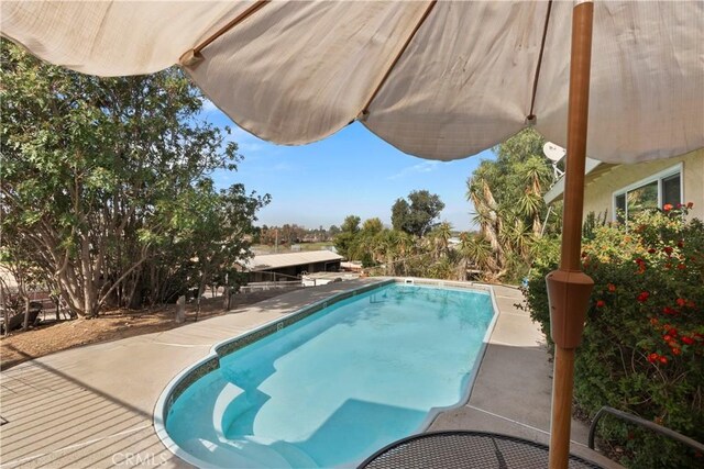 view of swimming pool