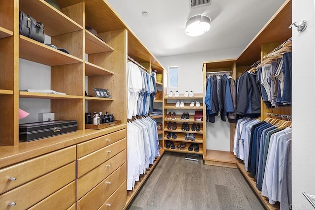 walk in closet featuring dark hardwood / wood-style flooring