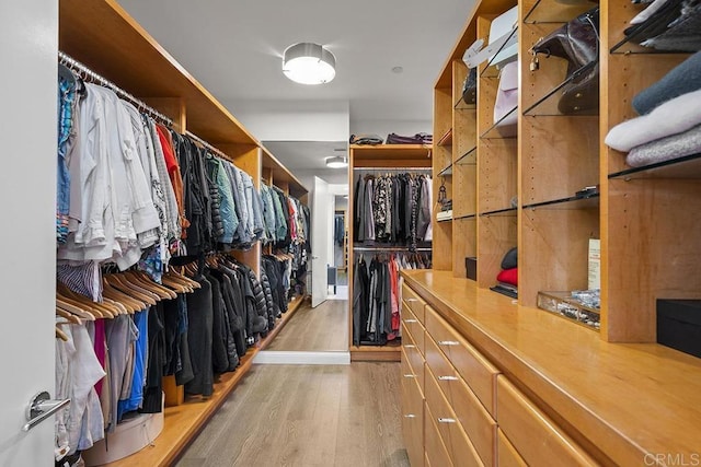 walk in closet featuring light hardwood / wood-style floors