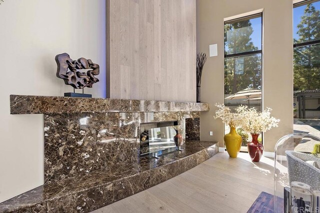 1107 Majestad Ln, Chula Vista, CA 91910 - room details with wood finished floors and a multi sided fireplace