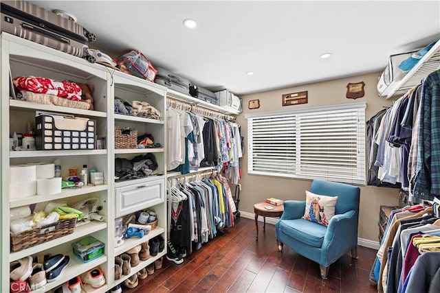 walk in closet with dark hardwood / wood-style floors