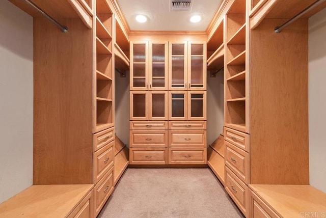 walk in closet with light carpet