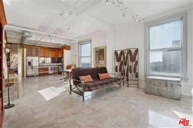 living room featuring plenty of natural light