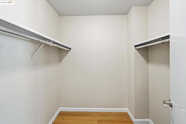 walk in closet featuring wood-type flooring