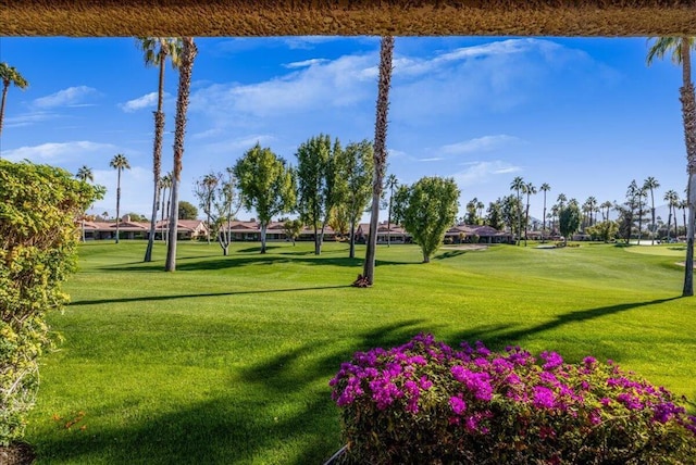 view of community featuring a yard