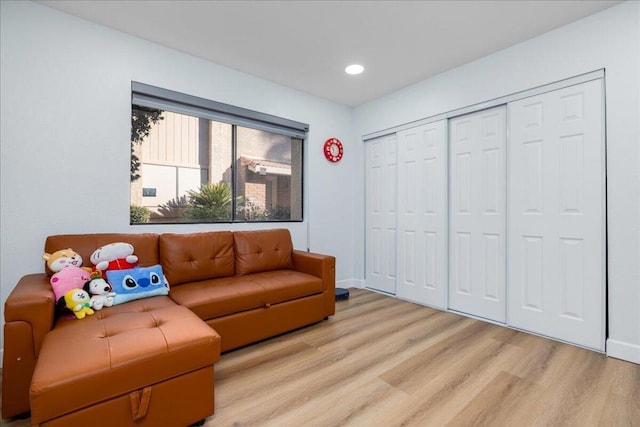 living room featuring light hardwood / wood-style floors