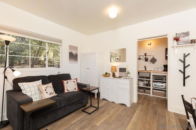 living room featuring hardwood / wood-style flooring