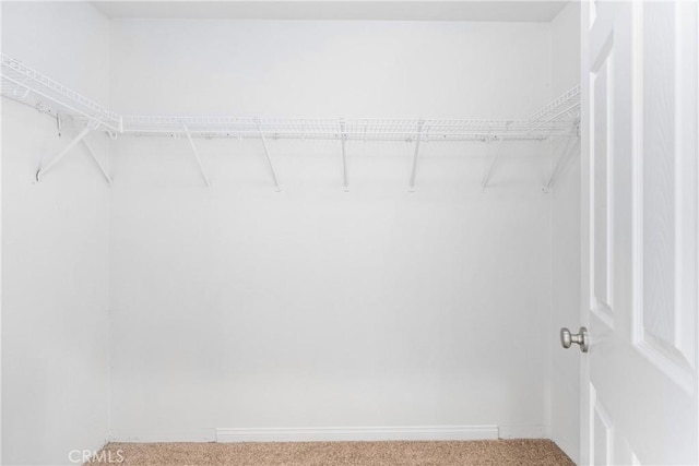 walk in closet with carpet