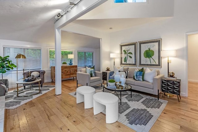 living room with light wood-type flooring