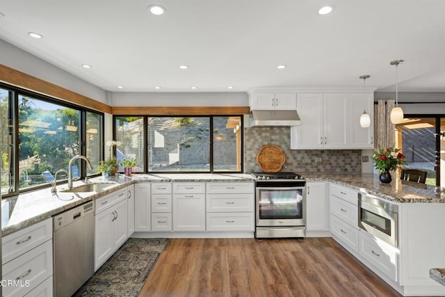 kitchen with ventilation hood, sink, light hardwood / wood-style floors, white cabinetry, and stainless steel appliances