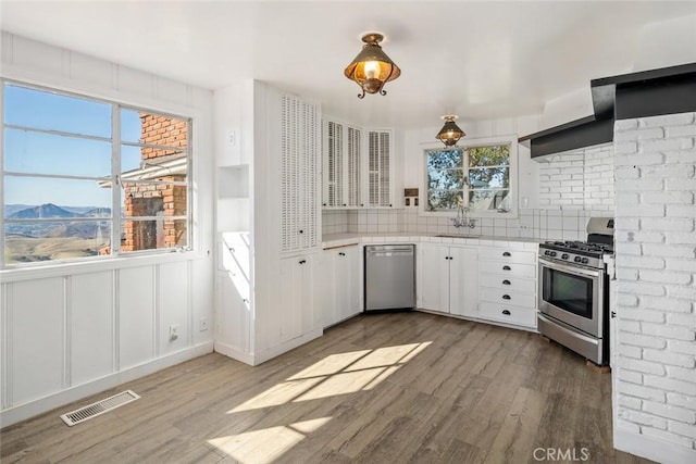 kitchen featuring white cabinetry, a mountain view, hardwood / wood-style flooring, appliances with stainless steel finishes, and tasteful backsplash