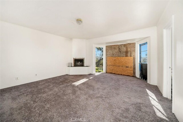 unfurnished living room with carpet