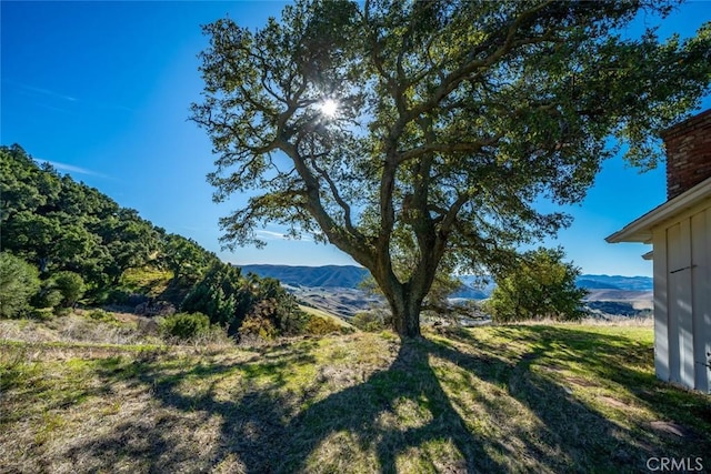 3455 Vista Del Ciudad, San Luis Obispo, CA 93401 - photo 50