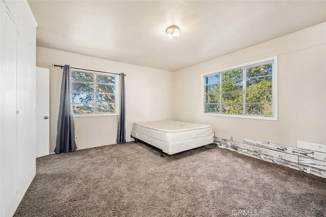 unfurnished bedroom featuring carpet flooring