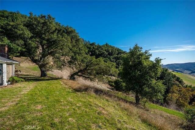 view of local wilderness