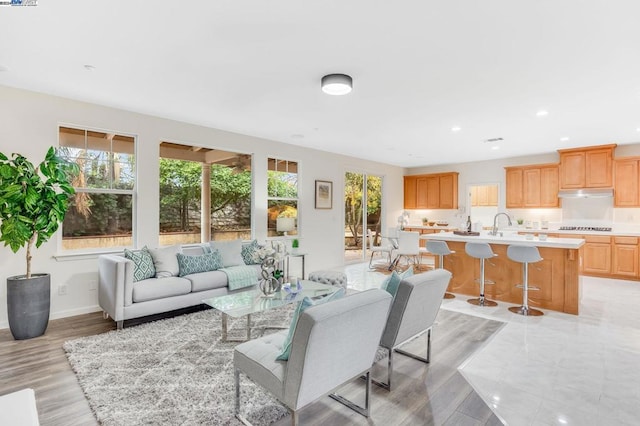 living room with light hardwood / wood-style floors