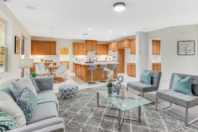 living room with light hardwood / wood-style floors